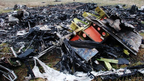 共青團真理報發表了烏可能與馬航波音客機墜毀相關的新證據 - 俄羅斯衛星通訊社