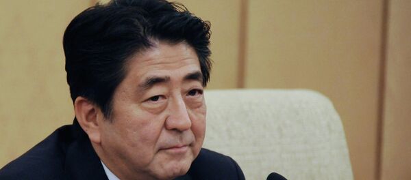 安倍有意解决与俄的领土问题并签署和约 - 俄罗斯卫星通讯社