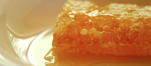 俄罗斯食品在中国供不应求 - 俄罗斯卫星通讯社