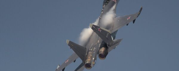 苏-35 - 俄罗斯卫星通讯社