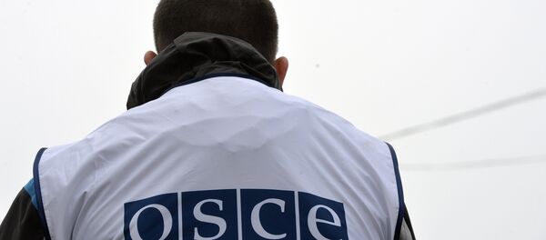 歐安組織特別監察團：週三頓涅茨克發生100次炮擊 - 俄羅斯衛星通訊社