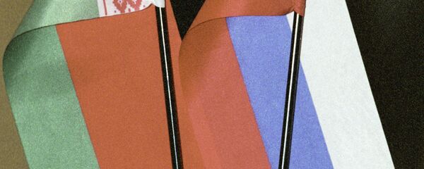 俄总理与白俄总统索契会晤讨论联合行动克服经济危机问题 - 俄罗斯卫星通讯社