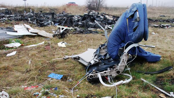 拉夫罗夫：乌东部马航MH17坠机事件新信息不容忽视 - 俄罗斯卫星通讯社