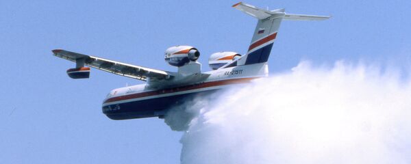 俄紧急情况部在葡萄牙又灭一场森林大火 - 俄罗斯卫星通讯社