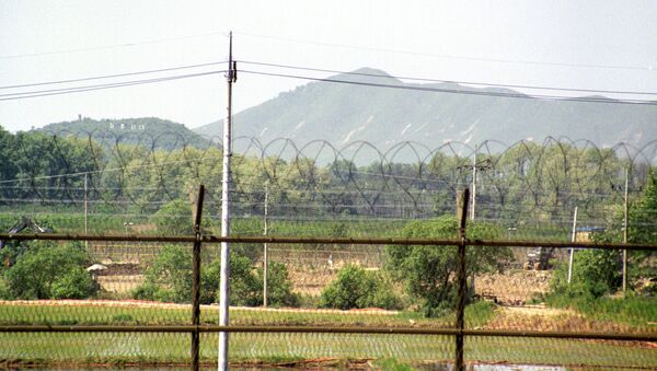 13名朝鲜公民集体逃往韩国 - 俄罗斯卫星通讯社