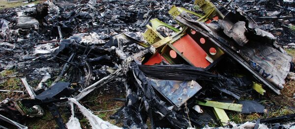 俄联邦公众院呼吁欧安组织对关于MH17航班的荷兰记者材料问题给出明确态度 - 俄罗斯卫星通讯社