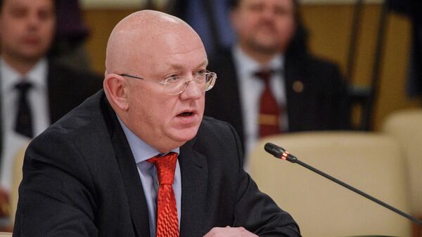 俄常驻联合国代表谈西方对多边主义的看法 - 俄罗斯卫星通讯社