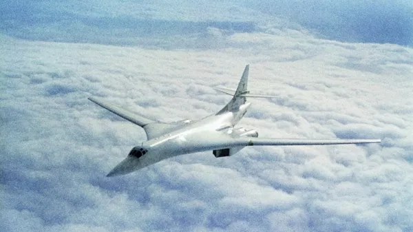 俄聯邦空軍遠程飛機2014年在海洋上空飛行50余次 - 俄羅斯衛星通訊社