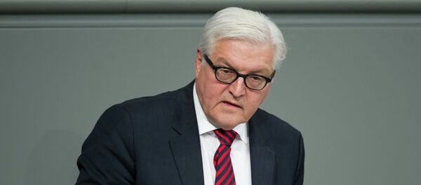 弗蘭克-瓦爾特·施泰因邁爾 - 俄羅斯衛星通訊社