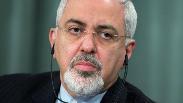 伊朗外長期待在與美國務卿會談中能消除對伊核問題的分歧 - 俄羅斯衛星通訊社