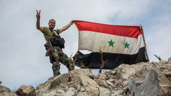 敘利亞軍隊摧毀大馬士革西南部的匪幫據點 - 俄羅斯衛星通訊社