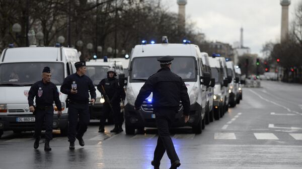 巴黎警察 资料图 - 俄罗斯卫星通讯社