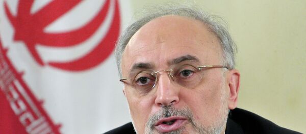 伊朗将於四月生产无浓缩铀核燃料 - 俄罗斯卫星通讯社