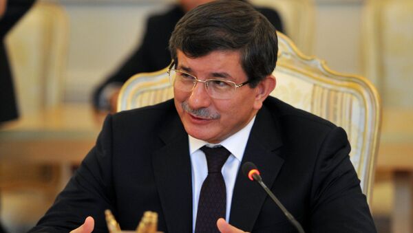 土耳其总理未确认法国恐怖袭击女罪犯逃往土耳其 - 俄罗斯卫星通讯社