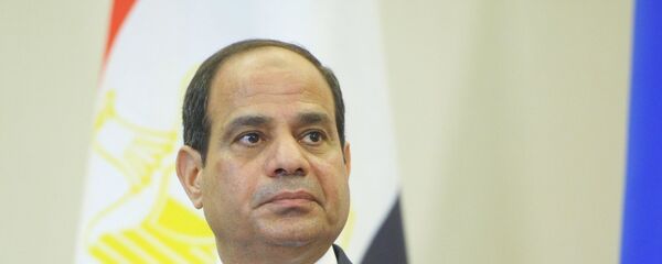 埃及總統:國際社會必須團結一致反對恐怖主義意識形態 埃及總統:國際社會必須團結一致反對恐怖主義意識形態 - 俄羅斯衛星通訊社