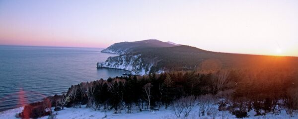 蘇維埃港 - 俄羅斯衛星通訊社