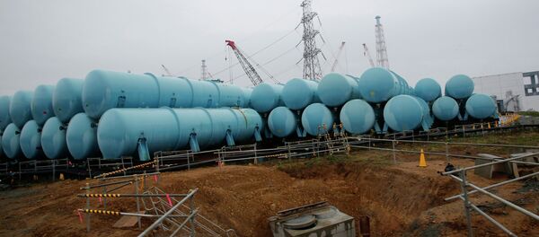 俄方建议中方重启福岛核电站事故后被冻结的两个核电机组建设项目 - 俄罗斯卫星通讯社