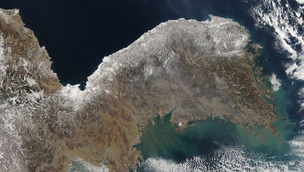 朝鮮半島 - 俄羅斯衛星通訊社