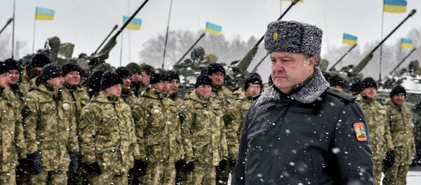 波罗申科 - 俄罗斯卫星通讯社