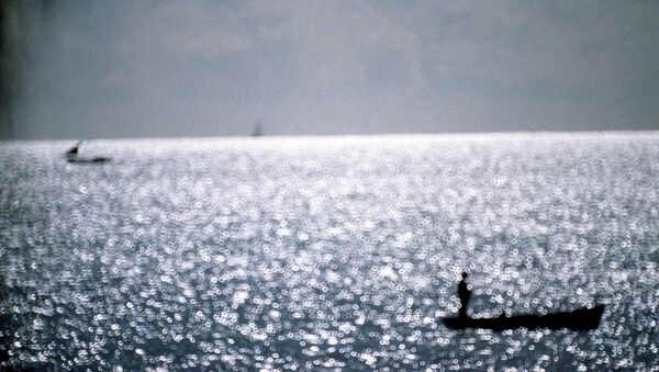 印度洋 - 俄羅斯衛星通訊社