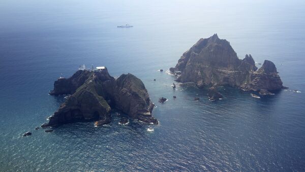 韓國因爭議島嶼向日本提出抗議 - 俄羅斯衛星通訊社