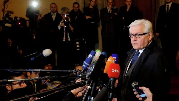 德国外长：选举、人道主义和经济措施或可解决乌克兰冲突 - 俄罗斯卫星通讯社