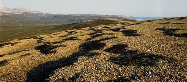 俄罗斯北方 俄罗斯北方 - 俄罗斯卫星通讯社