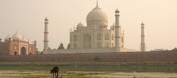 奥巴马访印:神牛和空气都得给总统让路 奥巴马访印:神牛和空气都得给总统让路 - 俄罗斯卫星通讯社