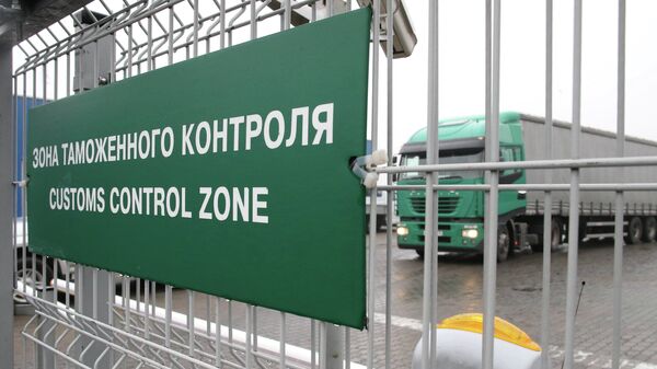 普京：俄中两国研究建立边境海关24小时通关模式 - 俄罗斯卫星通讯社