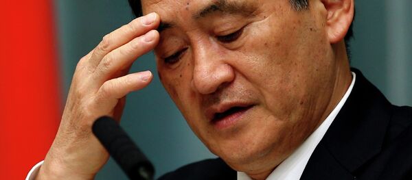 日本内阁未否认伊斯兰国已经处死其日本人质 - 俄罗斯卫星通讯社