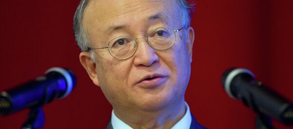 國際原子能機構總幹事:中國要走向國際原子能市場仍需時間 國際原子能機構總幹事:中國要走向國際原子能市場仍需時間 - 俄羅斯衛星通訊社