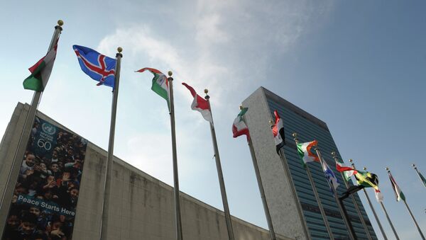 联合国证实也门问题磋商将于14日启动 - 俄罗斯卫星通讯社