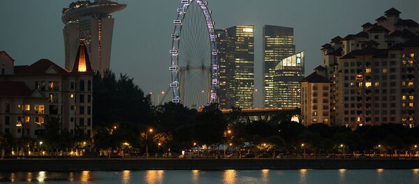 新加坡建立互聯網安全保護機構 新加坡建立互聯網安全保護機構 - 俄羅斯衛星通訊社