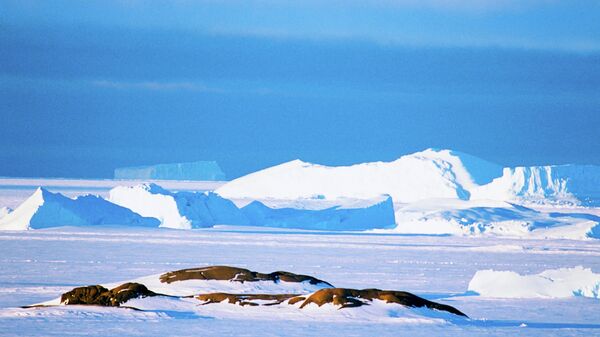 科学家们发现南极洲冰层下面有火山带存在 - 俄罗斯卫星通讯社