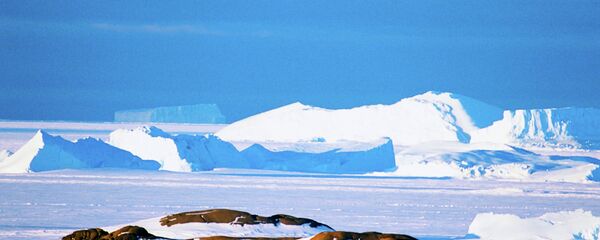 研究表明：南极冰川或将在100年内坍塌 - 俄罗斯卫星通讯社