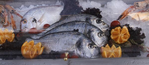 海魚 - 俄羅斯衛星通訊社