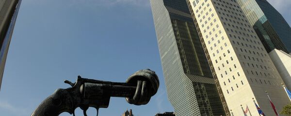 巴基斯坦反对印度申请“入常” - 俄罗斯卫星通讯社