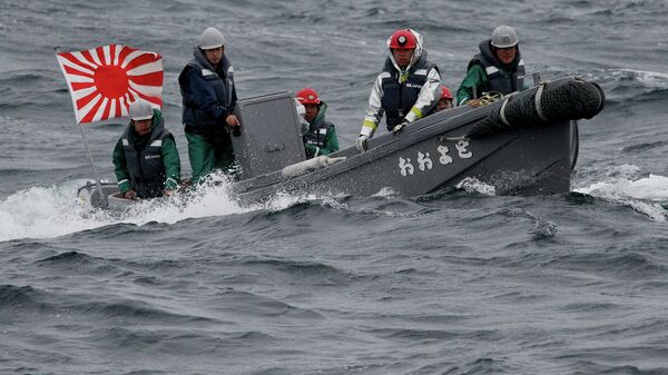 韓國呼籲日本在國際觀艦式上不要懸掛“旭日旗” - 俄羅斯衛星通訊社