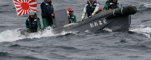 韩国呼吁日本在国际观舰式上不要悬挂“旭日旗” - 俄罗斯卫星通讯社