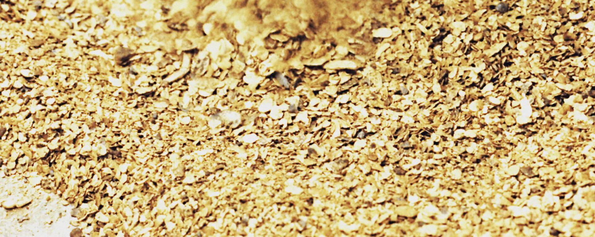 黄金 - 俄罗斯卫星通讯社, 1920, 14.07.2019