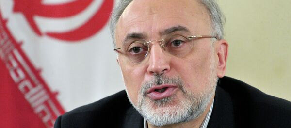 伊朗愿与周边国家建立关于核设施安全的地区组织 伊朗愿与周边国家建立关于核设施安全的地区组织 - 俄罗斯卫星通讯社