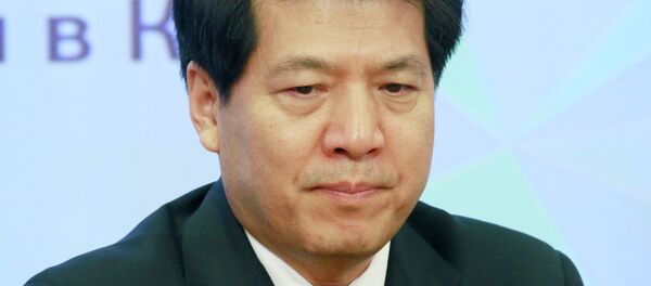 中国驻俄罗斯大使李辉 中国驻俄罗斯大使李辉 - 俄罗斯卫星通讯社