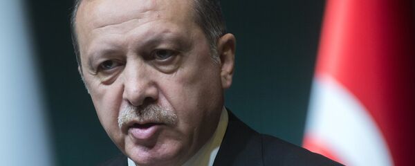 美国智库Stratfor：埃尔多安利用政变企图修改土宪法 - 俄罗斯卫星通讯社