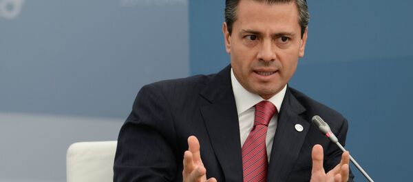 墨西哥总统要求对其自身展开调查 - 俄罗斯卫星通讯社