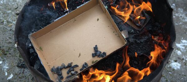 俄麻醉品監管總局取締一條自華對俄供應混合毒品大型渠道 - 俄羅斯衛星通訊社