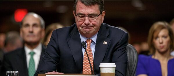 美國防部長候選人贊成為烏克蘭提供武器 美國防部長候選人贊成為烏克蘭提供武器 - 俄羅斯衛星通訊社