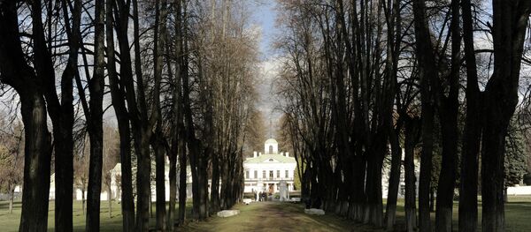 俄布拉戈维申斯克友谊公园中出现以“孔子”命名的凉亭 - 俄罗斯卫星通讯社