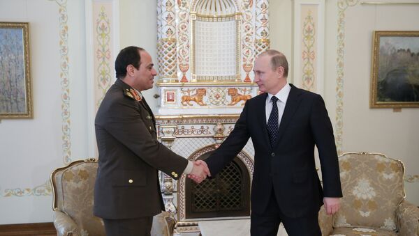 普京擬與埃及總統討論打擊“伊斯蘭國”問題 - 俄羅斯衛星通訊社