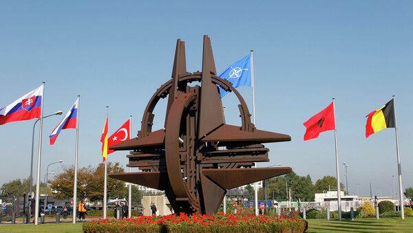中國從土耳其向美國發出地緣政治挑戰 - 俄羅斯衛星通訊社