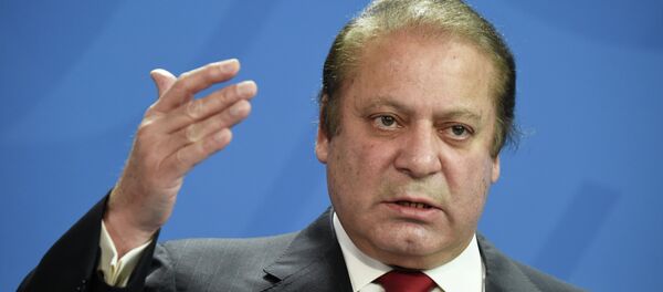 巴当局决心与恐怖主义决战到底 - 俄罗斯卫星通讯社